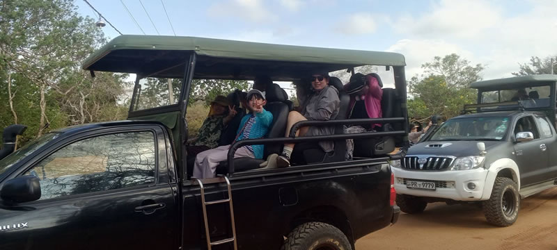 Sole_Lanka_Tours (22)