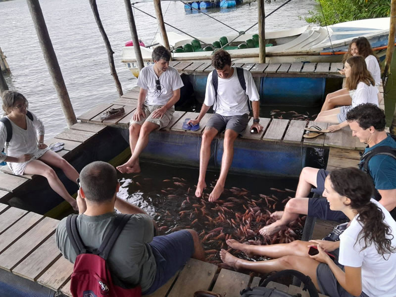 Sole_Lanka_Tours (8)